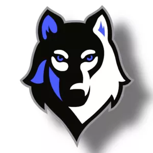 Imagem de capa para o Curso online ALPHA INDICADORES VITALÍCIO 