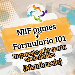 Imagen de portada para Curso online NIIF pymes + Formulario 101 (membresía)