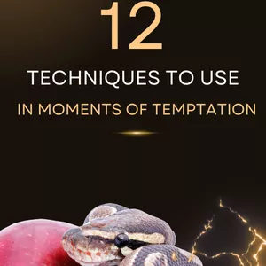 Cover image for Online course AUDIO BOOK: 12 TECHNIQUES TO USE IN MOMENTS OF TEMPTATION