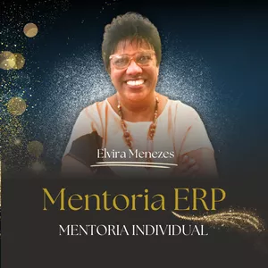 Imagem de capa para o Curso online Mentoria Individual ERP