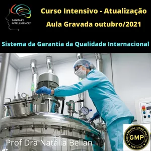 Imagem principal do produto Português - Curso Intensivo - Sistema da Garantia da Qualidade Internacional