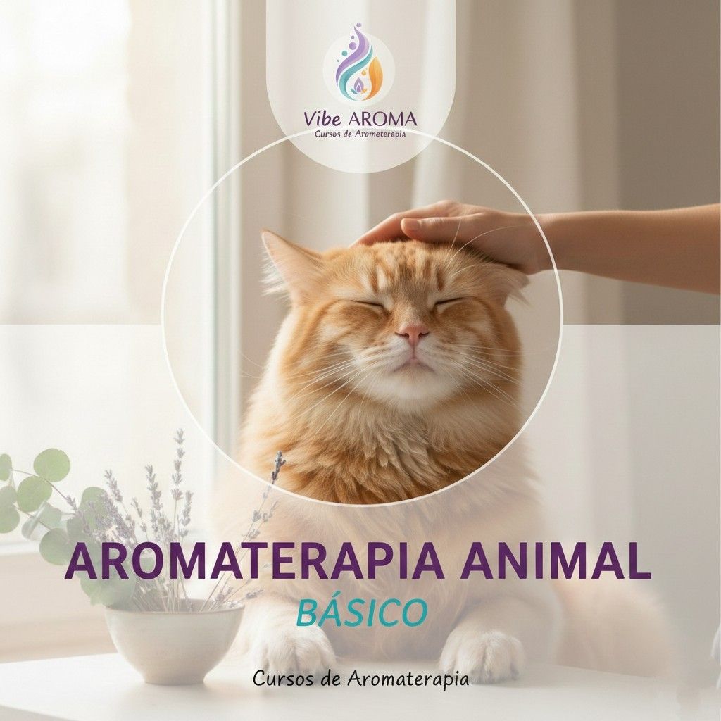 Curso de Aromaterapia Animal: Do Básico à Prática Avançada