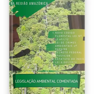 Imagem de capa para o Ebook Os Principais Crimes Ambientais Cometidos na Região Amazônica 