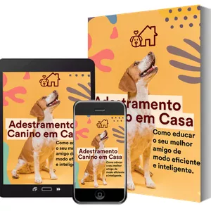 Imagem do curso Adestramento Canino em Casa