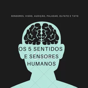 Imagem de capa para o Ebook livro "OS 5 SENTIDOS E SENSORES HUMANOS" 