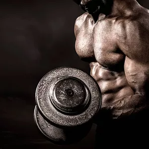 Imagem de capa para o Ebook exercícios básicos da musculação