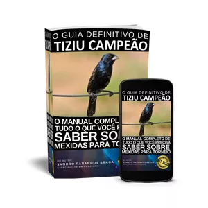 Imagem de capa para o Curso online Tizil Campeão
