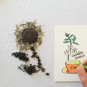 Imagen de portada para Curso online Los mejores dibujos de Mariana 😁