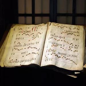 Imagem de capa para o Curso online Consultoria Apólo: Estratégias de Estudo Personalizadas para Violinistas que Querem Evoluir sem Perder Tempo