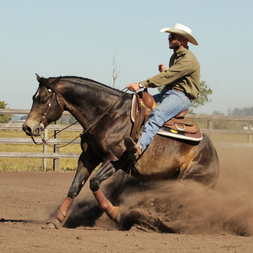 Imagem do curso Método ROC