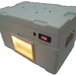 Imagem de capa para o Curso online Projeto Chocadeira de Isopor 100% Automática