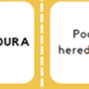 Imagem de capa para o Curso online Jogo Pedagógico - História - Dominó de conceitos: Formas de Governo