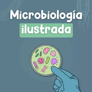 Imagen de portada para Curso online - Microbiología Ilustrada