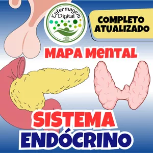 Imagem de capa para o Ebook Mapa Mental - Sistema Endócrino