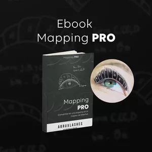 Imagen de portada para Ebook Ebook Mapping Pro