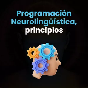 Imagen de portada para Curso online Programación Neurolingüística, principios