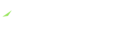The Guinea Group