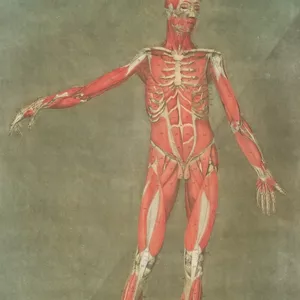 Imagen de portada para Curso online Cursos Prácticos de Reumatología para Médicos