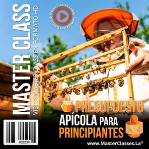 Imagen de portada para Curso online Presupuesto Apícola para Principiantes
