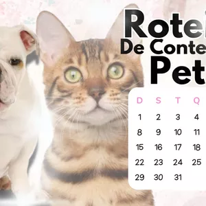 Imagem de capa para o Curso online Roteiro de Conteúdo Pet