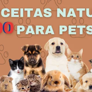 Imagem de capa para o Curso online Receitas pet 5