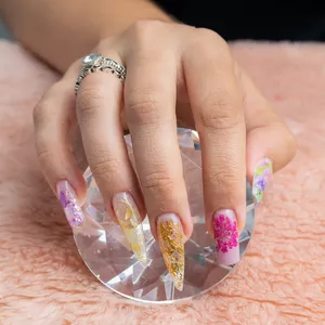Imagem de capa para o Curso online Curso de Encapsulamento de Unhas + Bônus Animal Print