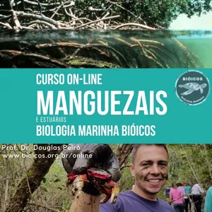 Imagem do curso Manguezais e Estuários EaD: Instituto Bióicos