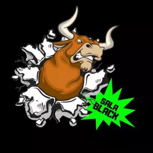Imagem de capa para o Curso online El Toro - Black 
