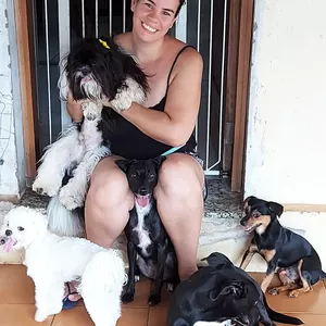 Imagem de capa para o Ebook Hospedagem Domiciliar para Cães 