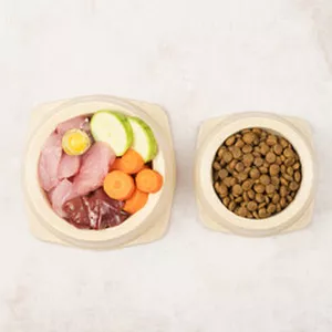 Imagen de portada para Ebook Asesoría Nutricional con OREJASYNARICES x2