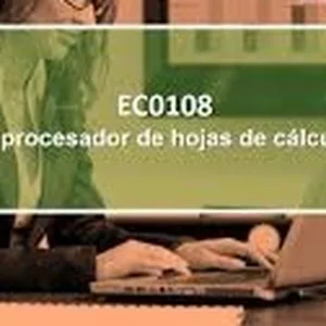 Imagen de portada para Curso online Manejo del procesador de hojas de cálculo digitales según lo establecido en el EC0108.