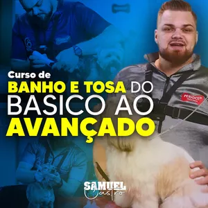 Curso Curso de Banho e Tosa do Básico ao Avançado com Samuel Castro