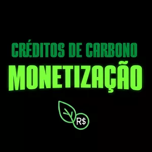 Imagem de capa para o Ebook Créditos de Carbono: Guia Prático do Ouro Verde - Fundamentos técnicos e como monetizar neste mercado