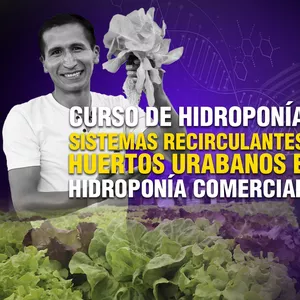 Imagem principal do produto CURSO DE HIDROPONÍA: SISTEMAS RECIRCULANTES  PRODUCCIÓN DE HORTALIZAS DE HOJA