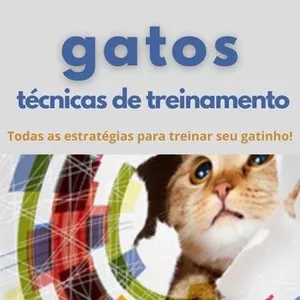 Imagem de capa para o Ebook Tecnicas de Treinamento Para Gatos
