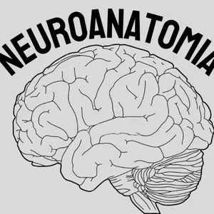 Imagem de capa para o Ebook ROTEIRO NEUROANATOMIA PARA PROVA PRÁTICA