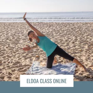 Imagem de capa para o Curso online ELDOA VIP CLASS