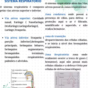 Imagem de capa para o Ebook Resumo Sistema Respiratótio