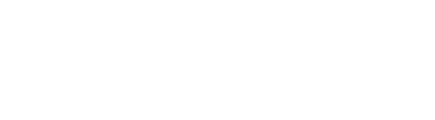 Wonderlass Online Business Academy logo