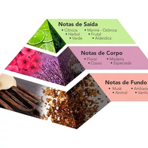 Imagem de capa para o Ebook EBOOK - Pirâmide Olfativa