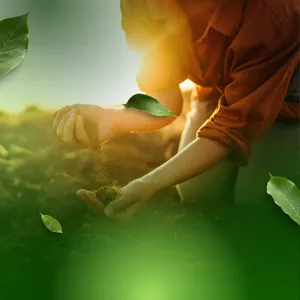 Imagem de capa para o Ebook NOÇÕES BASICAS AMBIENTAIS