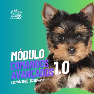 Capa do curso 