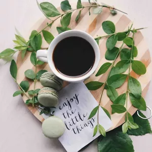 Imagem de capa para o Ebook Natureza Cura: práticas diárias para uma mente serena 