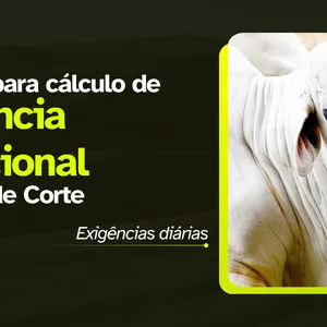 Imagem de capa para o Ebook Planilha - Exigência Nutricional em Bovinos de Corte