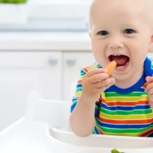 Imagem de capa para o Ebook Guia de introdução alimentar 