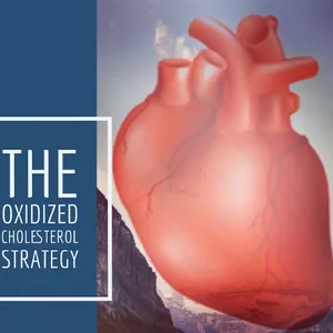 Cover image for Ebook The Oxidized Cholesterol Strategy
