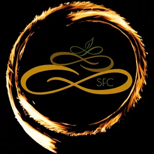 Imagem de capa para o Curso online Sincronização do Fluxo Cósmico