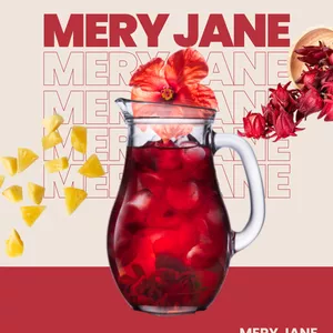 Imagen de portada para Ebook Mery Jane
