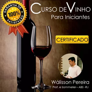 Curso CURSO DE VINHO (PASSO A PASSO DA TÉCNICA DE DEGUSTAÇÃO)