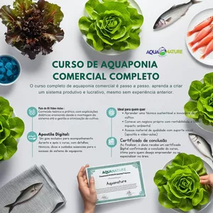 Imagem de capa para o Curso online CURSO PRODUÇÃO DE PEIXES E HORTALIÇAS NO SISTEMA DE AQUAPONIA